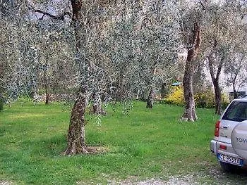 Szálloda Carlo